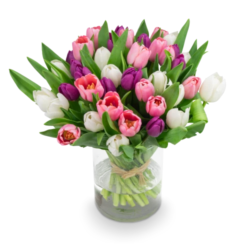 Kytice  tulipánů